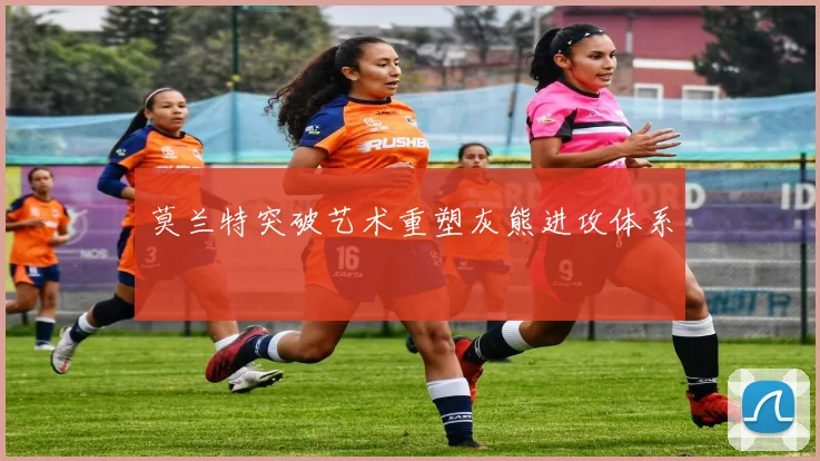 莫兰特突破艺术重塑灰熊进攻体系