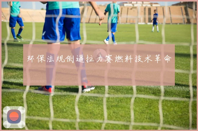 环保法规倒逼拉力赛燃料技术革命