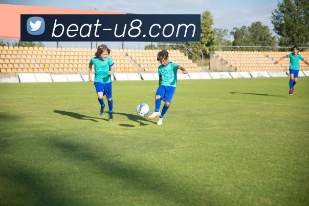 多媒体互动体验